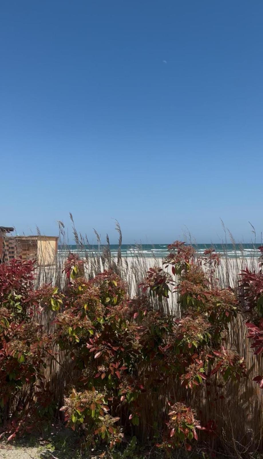 Sea View Luxury Apartament Нэводари Экстерьер фото